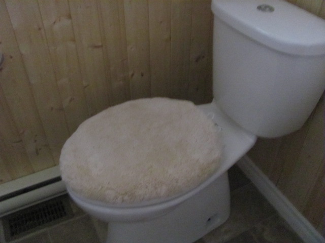 white toilet lid cover